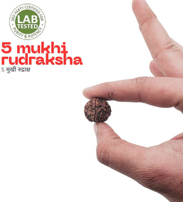Human Collections 5 Mukhi Nepali Rudraksha Five Face Rudraksh With Original Quality Certificate Beads Wood Locket Set
