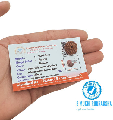 Kuttumb Gems & Jewels 8 Mukhi Rudraksha Java Indonesian Original Brown Beads eight Face Rudraksha Beads Wood Locket