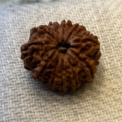 DIVINE SOUVENIRS Natural 11 mukhi Rudraksha Beads For Astrology purpose Wood Pendant