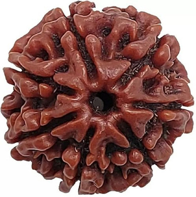 Beautum 7 Mukhi Rudraksha Seven Face Rudraksha Nepali Rudraksha Code:1 Wood Pendant