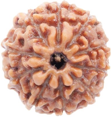 CRYSTALhouse 10 Mukhi Rudraksha Wood Pendant