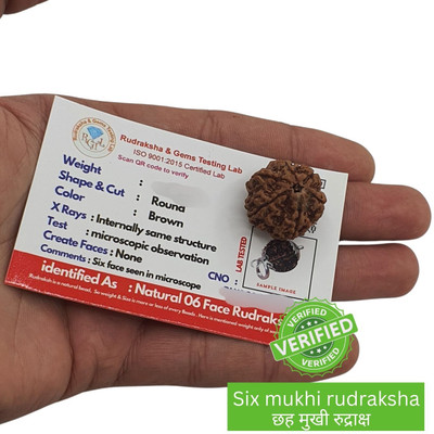 Kripalu store NATURAL 6 MUKHI ORIGINAL RUDRAKSHA NEPALI ORIGINAL FOR MEN AND WOMEN Beads Wood Locket