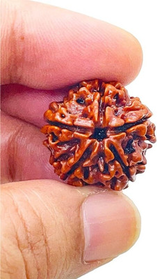 Jewelswonder Nepali 5 Mukhi Rudraksha Original Five Face Rudraksha Metal Capping Wood Pendant