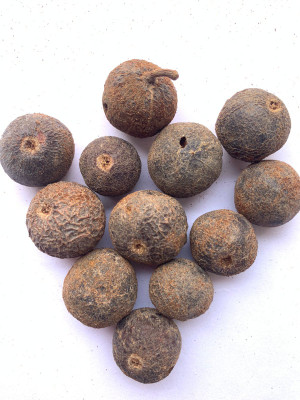 Rudraksham Rudraksha Nepali Scared Fruit (Set of 12) Wood Pendant Set