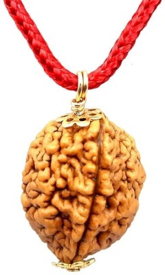 Beautum 2 Mukhi Rudraksha Two Face Rudraksha Nepali Rudraksha Wood Pendant