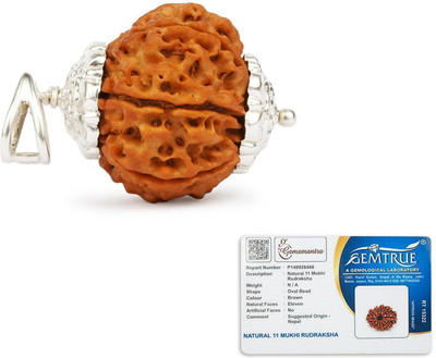 GEMSMANTRA 11 Mukhi Rudraksha Bead With Pendant Medium Nepali Natural & Lab Certified Wood