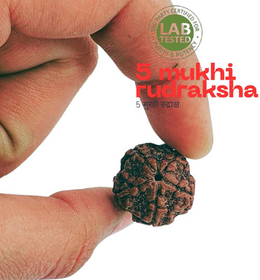 Bondwal Trendz Original 5 Mukhi/Faced Rudraksha Five-Faced Orignal Pendant For Unisex Beads Wood Pendant