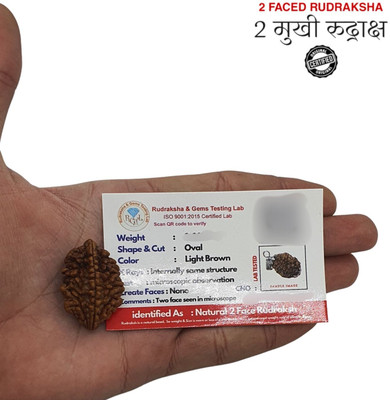 Madhur Creation Purest Astrological Original Natural 2 Mukhi/two Faced Nepali Rudraksha Pendant Beads Wood Locket