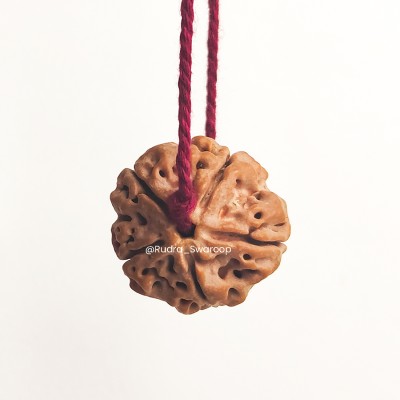 Rudra Swaroop 5 Mukhi Rudraksha Nepali with Red Thread, Wood Locket