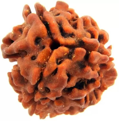 Digibusy Permuim Natural 3 Mukhi Nepali Rudraksha Bead with Certificate Wood Pendant
