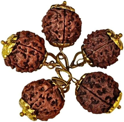 Rudraksham 6 Mukhi 20 Pcs Rudraksha Pendant Locket At Wholesale Rate ( Set of 20) Wood Pendant Set