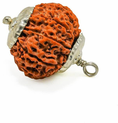 SriMaa Ventures Twelve Mukhi Rudraksha Certified/Original Nepali 12 Mukhi Rudraksh Silver Pendant