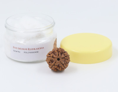 ShivaRatna 5 Mukhi/Five Face Rudraksha with Certificate of Authenticity (Elite Range) Cotton Dori