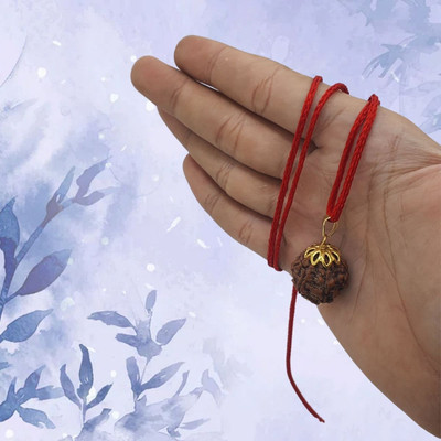 HAPPY CREATION 6 Mukhi Nepali Rudraksha Pendant Lab Certified Original with Lab Certification Gold-plated Beads Brass, Wood Pendant Set