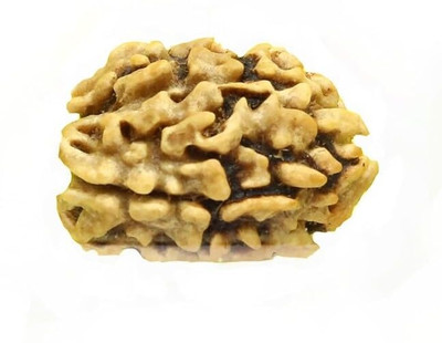 DIVINE SOUVENIRS 3 Mukhi Rudraksha Three Face Rudraksha Nepali Rudraksha Code:2 Wood Pendant