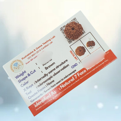 AJ Articles Original & Real seven Faced Rudraksha 7 Mukhi Rudraksha Pendant Beads Wood Pendant Set