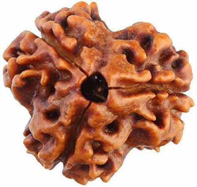 Shivtantra ORIGINAL 3 MUKHI RUDRAKSHA 3 FACE OF RUDRAKSHA 1111 Wood Pendant