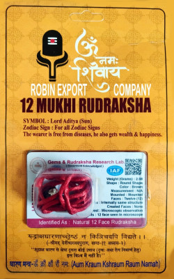 Robin Export Company 12 Mukhi Nepali Rudraksha Twelve Faced With Certificate Lab Test Sterling Silver Wood