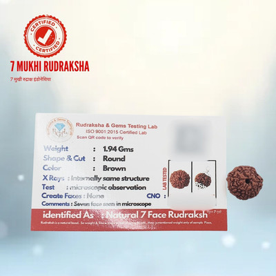 Lazy Collection NATURAL 7 MUKHI RUDRAKSHA Beads Wood Locket Set