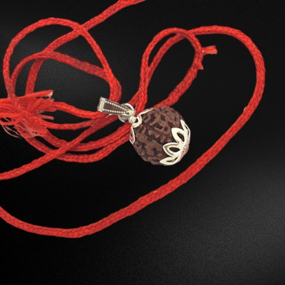 HAPPY CREATION 7 Mukhi Rudraksha Original Natural Nepali A1 Beads Seven Face Rudraksha Silver Wood Locket
