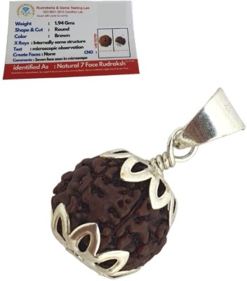 HAPPY CREATION Satmukhi 7 Mukhi Rudraksha Original Original 7 Face Saat Mukhee Rudraksha Silver Wood Locket Set