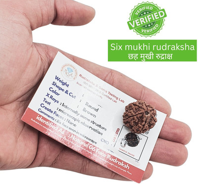 A1 yashvriddhi 6 MUKHI RUDRAKSHA Beads Wood Pendant