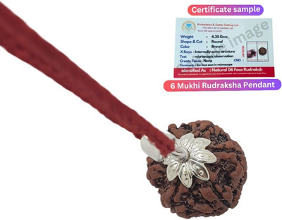 Shade Creation 6 Mukhi Rudraksha Original six Face Rudraksha Metal Capped Silver Beads Brass, Wood Locket