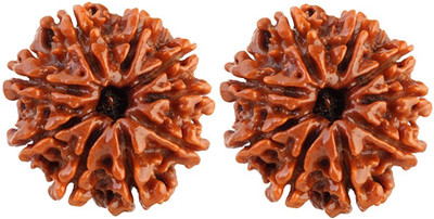 dr. shrimali & astro science Guaranteed Original 9 Mukhi Rudraksha with certificate Wood Pendant