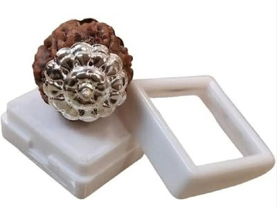 RIKIJAZ Natural Nepali 4 Mukhi Rudraksha Pendant (Four Face Rudraksha ) With Lab Report Silver Wood Pendant