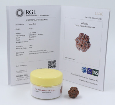 ShivaRatna 3 Mukhi/Three Face Rudraksha with Certificate of Authenticity (Elite Range) Cotton Dori