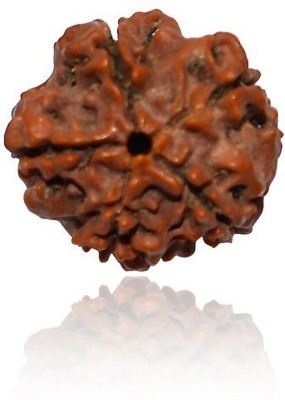 Kripalu store Unique & Effective Five Mukhi Rudraksha 5 Faced Rudraksha For Men & Women Wood