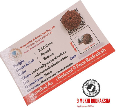 Hart Eye Java Indonesian 9 Mukhi Rudraksha Original nine Face Rudraksha Metal Capped Beads Wood Locket Set