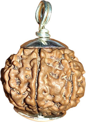 Divine rudras 7 Faces bead Original Certified || Original Seller Nepali Rudraksha || Mother of Pearl