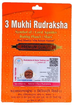 The Vaidik 3 Mukhi Rudraksha Brown Certificate Lab Test with Metal Silver Capping Silver Wood Pendant