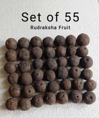 Rudraksham Rudraksham Rudraksha Sacred Fruit-Tear (Set of 51) With Brand Certification Wood Pendant