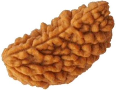 DMK Astro real seed Ek Mukhi Natural Brown 1 Mukhi Rudraksh Lab Certified Wood Pendant
