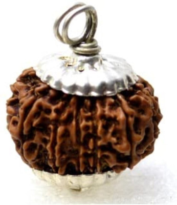 Kuttumb Gems & Jewels 10 Mukhi Rudraksha Original Natural Nepali A1 Beads Ten Face Rudraksha Wood Pendant