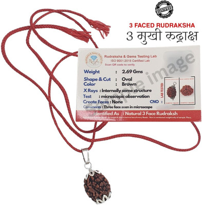 Hart Eye 3 Mukhi Nepali Rudraksha three Face Rudraksh With Original Quality Silver Beads Brass Locket Set