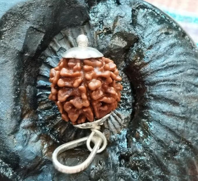 Beautum 3 Mukhi/Faced Nepali Rudraksha Natural & Rudraksha Metal Capping Wood Pendant