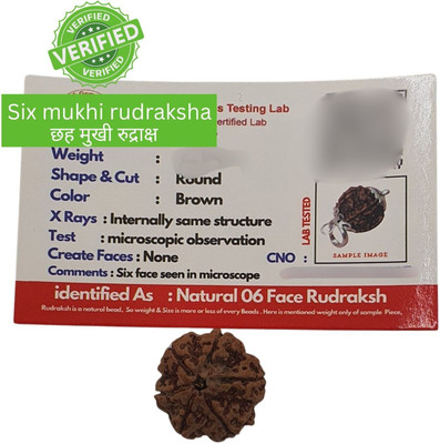 NATURAL TREASURE 6 Mukhi rudraksha / 6 Face Rudraksha Nepali For Unisex Beads Wood Pendant Set