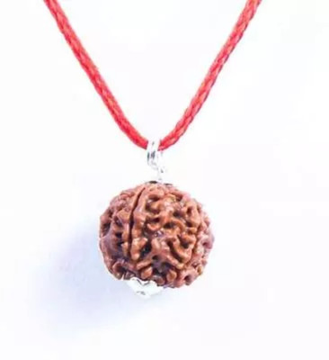 SPRIGEMS \6 Mukhi Rudraksha / 6 Face Rudraksha Pendant With Lab Certificate Silver Plated Stainless Steel Locket