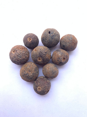 Rudraksham Rudraksha Nepali Scared Fruit (Set of 9) Wood Pendant Set