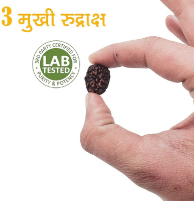 Khushal ENTERPRISE 3 Mukhi Rudraksha Original Nepali Genuine three Face Rudraksha Wood Pendant Beads Wood Pendant