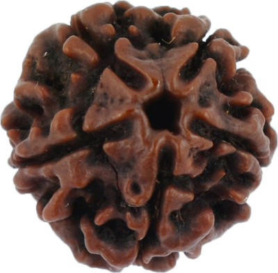 HAPPY CREATION Natural Five Mukhi (5 face) Rudraksha With Lab Tested Certificate Wood Pendant
