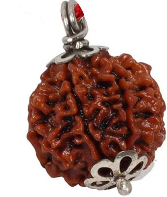BHAGYA G 4 Mukhi Rudraksha is believed to stimulate the intellect Beads Wood