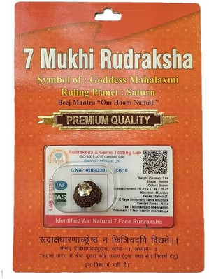 The Vaidik 7 Mukhi Rudraksha Brown Certificate Lab Test with Metal Silver Capping Silver Wood Pendant