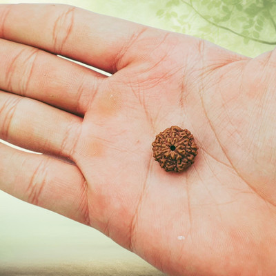 KitaboJi Samagri Brown Wood 9 Mukhi /9 Face Rudraksha with Lab Certificate for Men and Women Beads Wood Locket
