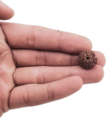 Haven gemsstone 7 Mukhi Nepali Rudraksha with Silver Pendant | Natural & Certified for Unisex Beads Brass, Wood Pendant Set