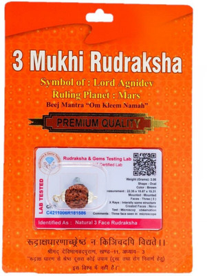 Shivtantra 3 Mukhi Rudraksha Original Certified Lab Test & X-ray Report Sterling Silver Wood Pendant