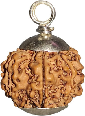 Nepali Rudraksha 7 Mukhi Rudraksha Original Certified with IGL | Original Seller Nepali Rudraksha Mother of Pearl